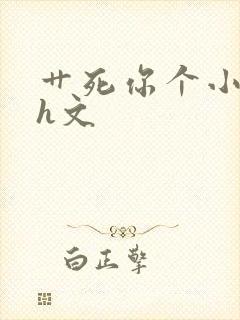 艹死你个小骚货h文