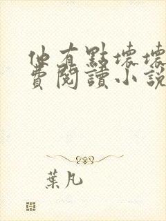 他有点坏坏的免费阅读小说