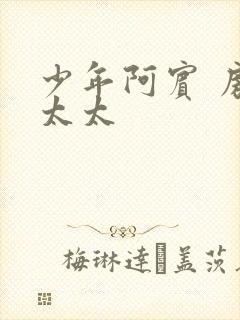 少年阿宾 房东太太