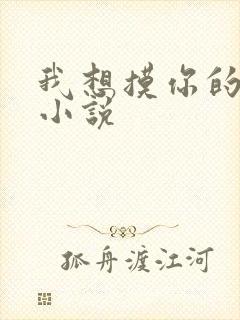 我想摸你的乳房小说封面