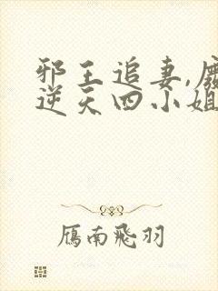 邪王追妻,废材逆天四小姐