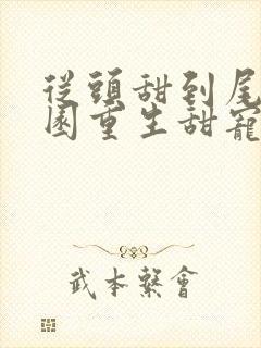 从头甜到尾的校园重生甜宠文