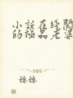 小说在线阅读我的极品老婆