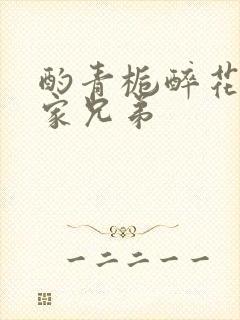 酌青栀醉花阴贺家兄弟封面