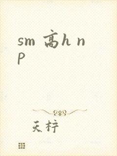 sm 高h np