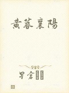 黄蓉襄阳