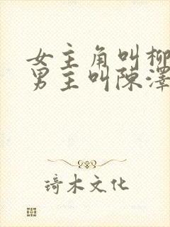 女主角叫柳如烟男主叫陈泽封面