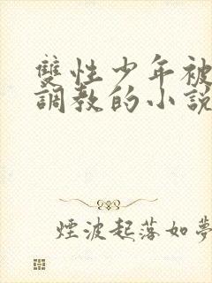 双性少年被绑架调教的小说封面