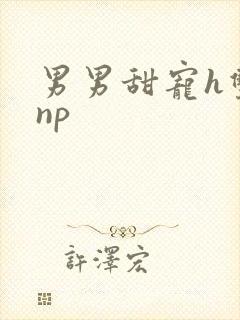 男男甜宠h双性np