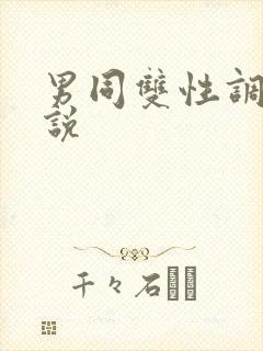 男同双性调教小说封面