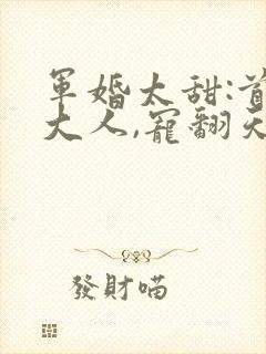 军婚太甜:首长大人,宠翻天