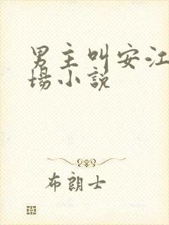 男主叫安江的官场小说