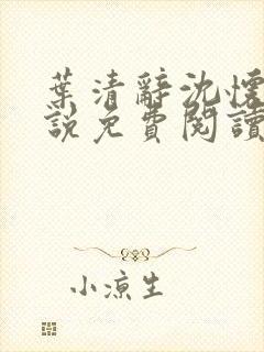 叶清辞沈怀瑾小说免费阅读最新章节