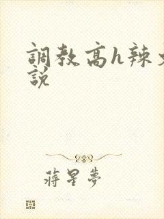 调教高h辣文小说