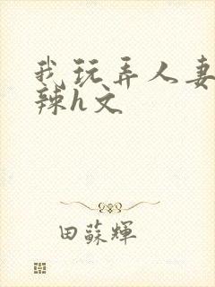 我玩弄人妻系列辣h文