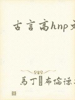 古言高hnp文