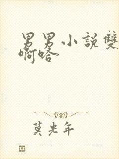 男男小说双性嗯啊哈