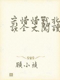 宋惜惜战北望小说全文阅读