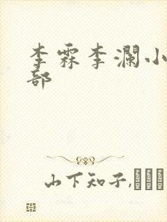 李霖李澜小说全部