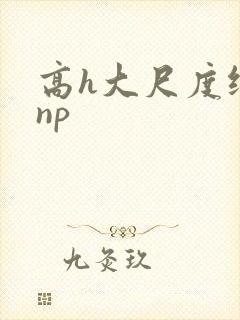 高h大尺度纯肉np