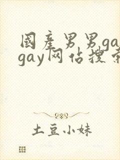 国产男男gaygay网站搜索封面