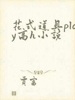 花式道具play高h小说