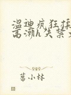 温迪疯狂揉肉蒂高潮h失禁文