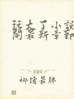 玩大了小说笔趣阁最新章节无弹窗