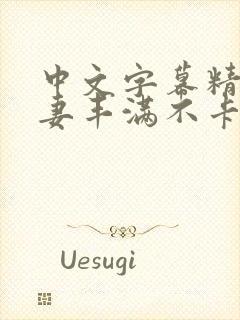 中文字幕精品人妻丰满不卡