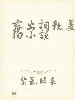 露出调教羞辱母狗小说