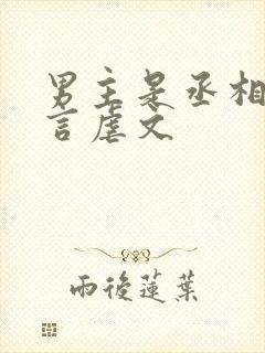 男主是丞相的古言虐文