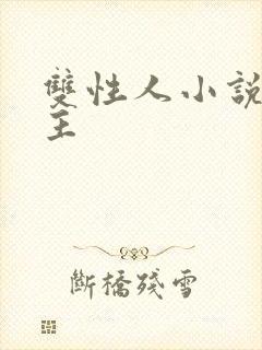 双性人小说双男主