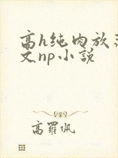 高h纯肉放荡h文np小说