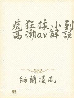 疯狂揉小到失禁高潮av解说