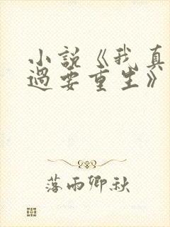 小说《我真没想过要重生》