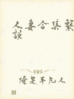 人妻合集系列小说封面