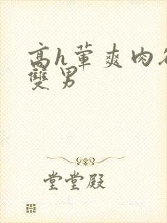 高h荤爽肉欲文双男