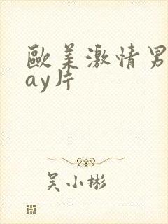 欧美激情男男gay片