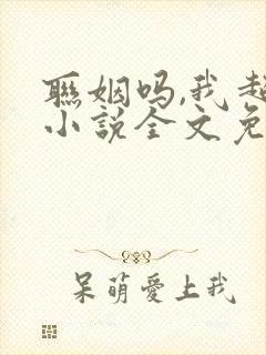 联姻吗,我超甜小说全文免费阅读