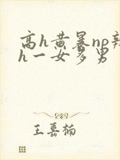 高h黄暴np辣h一女多男