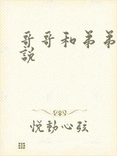 哥哥和弟弟h小说