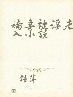 娇妻被淫老头进入小说