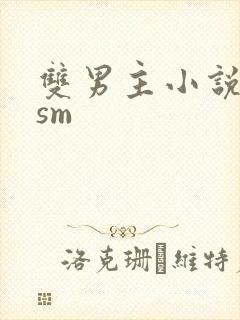 双男主小说调教sm封面