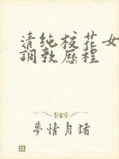 清纯校花女友的调教历程