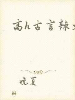 高h古言辣文