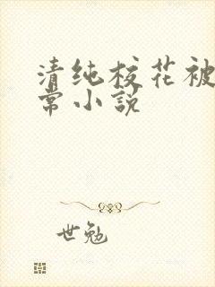 清纯校花被艹日常小说封面