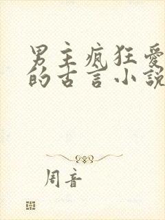 男主疯狂爱女主的古言小说封面