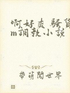 啊好爽 骚货sm调教小说封面