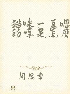 猫咪一直嗯嗯嗯的哼是怎么了