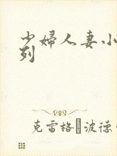 少妇人妻小说系列